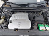 Miniaturka zdjęcia 10