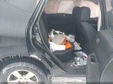 Miniaturka zdjęcia 8