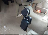 Miniaturka zdjęcia 11