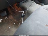 Miniaturka zdjęcia 11