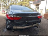 Miniaturka zdjęcia 6