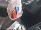 Miniaturka zdjęcia 11