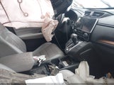 Miniaturka zdjęcia 7