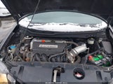 Miniaturka zdjęcia 10
