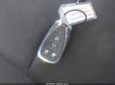 Miniaturka zdjęcia 11
