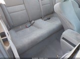 Miniaturka zdjęcia 8