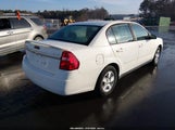 Chevrolet Malibu Ls 1G1ZT54835F141217 photo