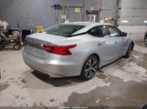 Nissan Maxima 3.5 Platinum/3.5 S/3.5 Sl/3.5 Sr/3.5 Sv 1N4AA6AP0HC368064 photo