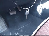 Miniaturka zdjęcia 11