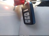 Miniaturka zdjęcia 11