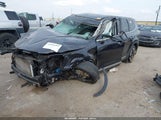 Miniaturka zdjęcia 2