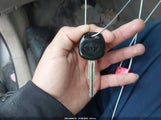 Miniaturka zdjęcia 11