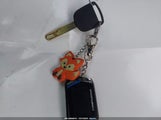 Miniaturka zdjęcia 11
