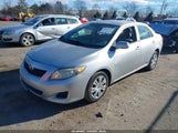 Toyota Corolla Le 2T1BU4EE6AC348434 снимка