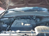 Miniaturka zdjęcia 10
