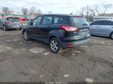 Miniaturka zdjęcia 3