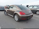 Miniaturka zdjęcia 3