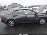Toyota Corolla JTDBU4EE6A9099378 fotografie