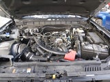 Miniaturka zdjęcia 10