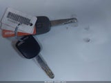Miniaturka zdjęcia 11