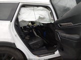 Kia Telluride Sx 5XYP5DHC9LG094058 fotografie
