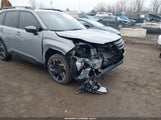 Miniaturka zdjęcia 6