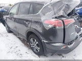 Toyota Rav4 Le JTMBFREV4JJ747628 photo