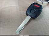 Miniaturka zdjęcia 11