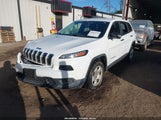 Jeep Cherokee Sport 1C4PJLAB8EW148978 снимка