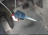 Miniaturka zdjęcia 11