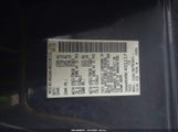 Miniaturka zdjęcia 9