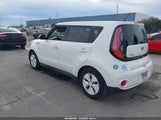 Miniaturka zdjęcia 3