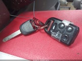 Miniaturka zdjęcia 11