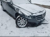 Miniaturka zdjęcia 6