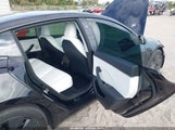 Miniaturka zdjęcia 8