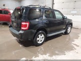Ford Escape Xlt 1FMCU03118KA18511 снимка