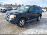 Ford Escape Xlt 1FMCU03118KA18511 снимка