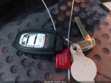 Miniaturka zdjęcia 11