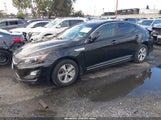 Kia Optima Hybrid KNAGM4AD3F5078339 снимка