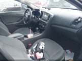 Miniaturka zdjęcia 5
