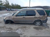 Miniaturka zdjęcia 6