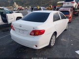 Toyota Corolla Le 2T1BU4EE9AC415589 снимка