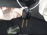 Miniaturka zdjęcia 11
