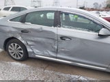 Hyundai Sonata Sport 5NPE34AF4GH295463 photo