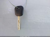 Miniaturka zdjęcia 11