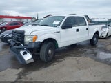 Ford F-150 Xl 1FTFW1EF5EKF56490 снимка
