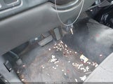 Miniaturka zdjęcia 11