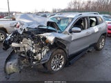 Jeep Cherokee Latitude Plus 4X4 1C4PJMLB0LD604693 снимка