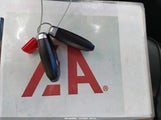 Miniaturka zdjęcia 11