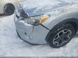 Miniaturka zdjęcia 6